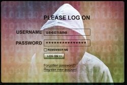 4 Ways to Keep Passwords Safe for Credit Union Members